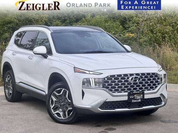 HYUNDAI SANTA FE 2023 5NMS3DA14PH011933 image